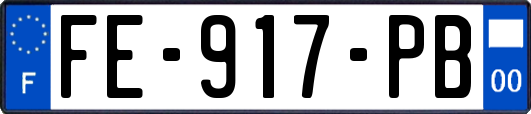 FE-917-PB