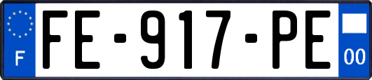 FE-917-PE