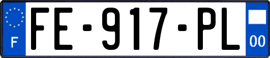 FE-917-PL