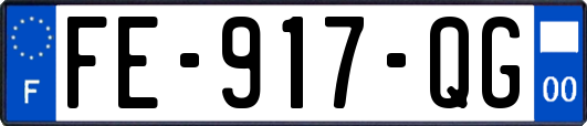 FE-917-QG