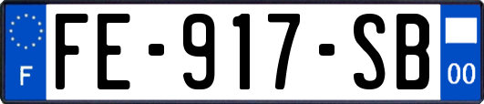 FE-917-SB