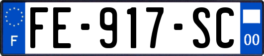 FE-917-SC