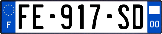 FE-917-SD
