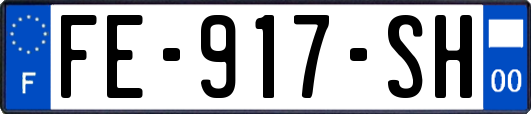 FE-917-SH