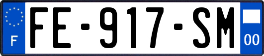 FE-917-SM