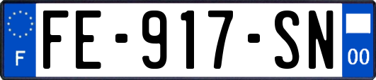 FE-917-SN