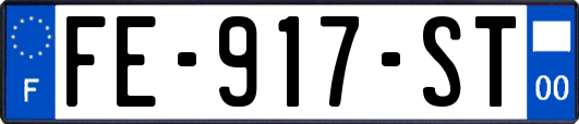 FE-917-ST