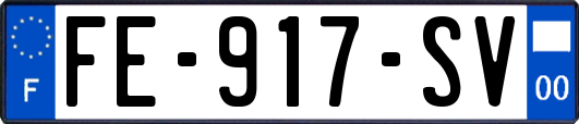 FE-917-SV