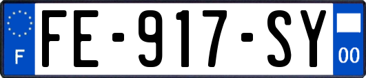 FE-917-SY