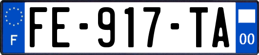 FE-917-TA
