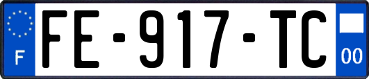 FE-917-TC