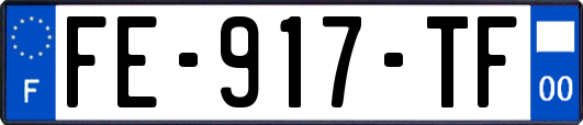 FE-917-TF