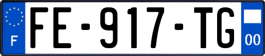 FE-917-TG
