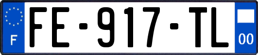 FE-917-TL