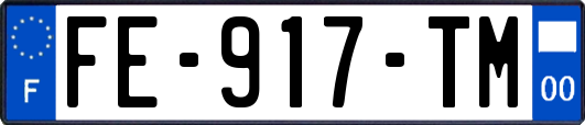 FE-917-TM