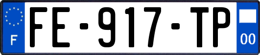FE-917-TP