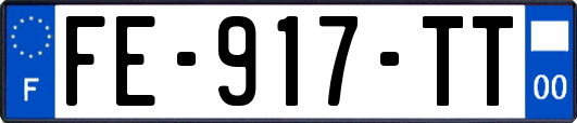 FE-917-TT