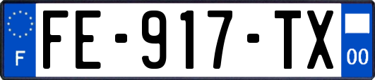FE-917-TX