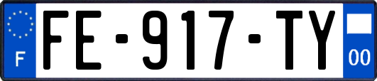 FE-917-TY