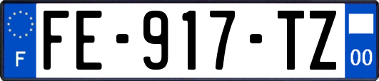 FE-917-TZ