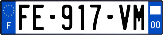 FE-917-VM