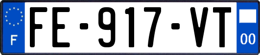 FE-917-VT