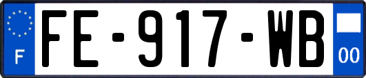 FE-917-WB