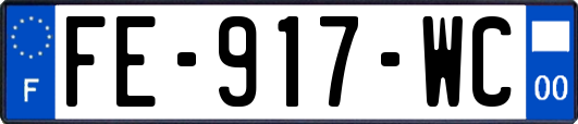 FE-917-WC