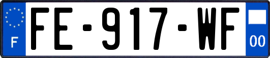 FE-917-WF