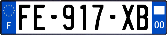 FE-917-XB