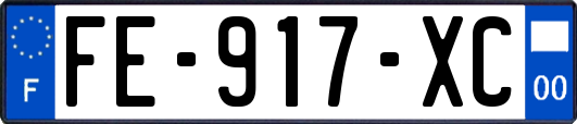 FE-917-XC