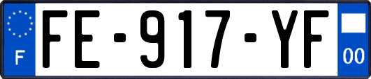 FE-917-YF