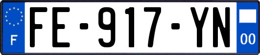 FE-917-YN