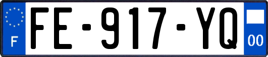 FE-917-YQ