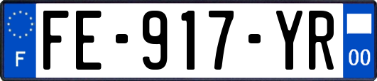 FE-917-YR