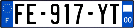 FE-917-YT