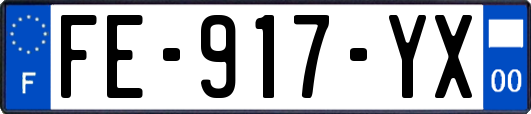 FE-917-YX