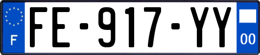 FE-917-YY