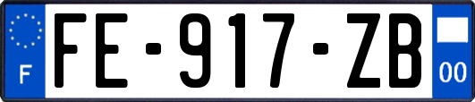 FE-917-ZB