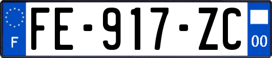 FE-917-ZC