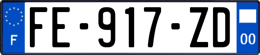 FE-917-ZD