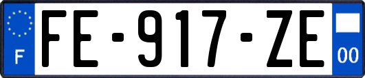 FE-917-ZE