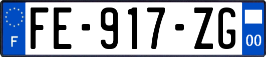 FE-917-ZG