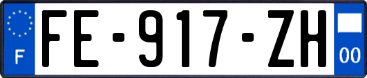 FE-917-ZH