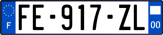 FE-917-ZL