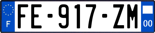 FE-917-ZM