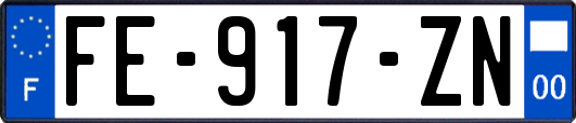 FE-917-ZN