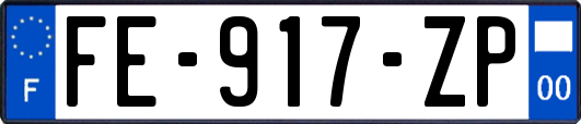 FE-917-ZP