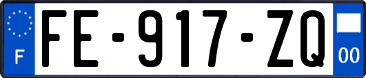 FE-917-ZQ