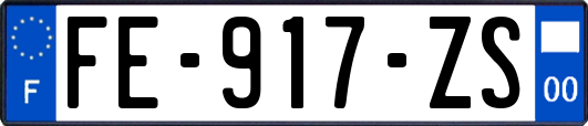 FE-917-ZS